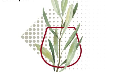 Celebrando un Logro: Nuestra Variedad Picudo de Cortijo el Puerto en la Guía IberOleum 2024