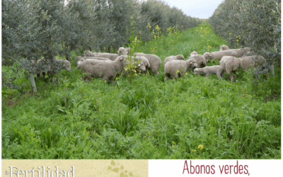 Abonos verdes: entrevista a Cortijo el Puerto en «La Fertilidad de la Tierra»
