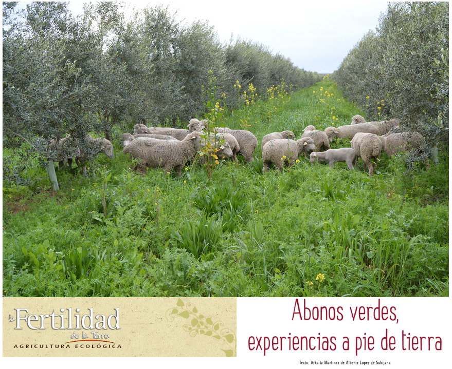 ABONOS VERDES experiencias a pie de tierra_la fertilidad de la tierra_Cortijo el Puerto 2