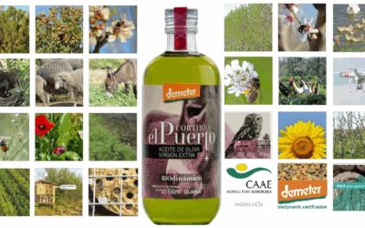 Oliana, Zumo de Oliva Ecológico y Biodinámico de Cortijo el Puerto