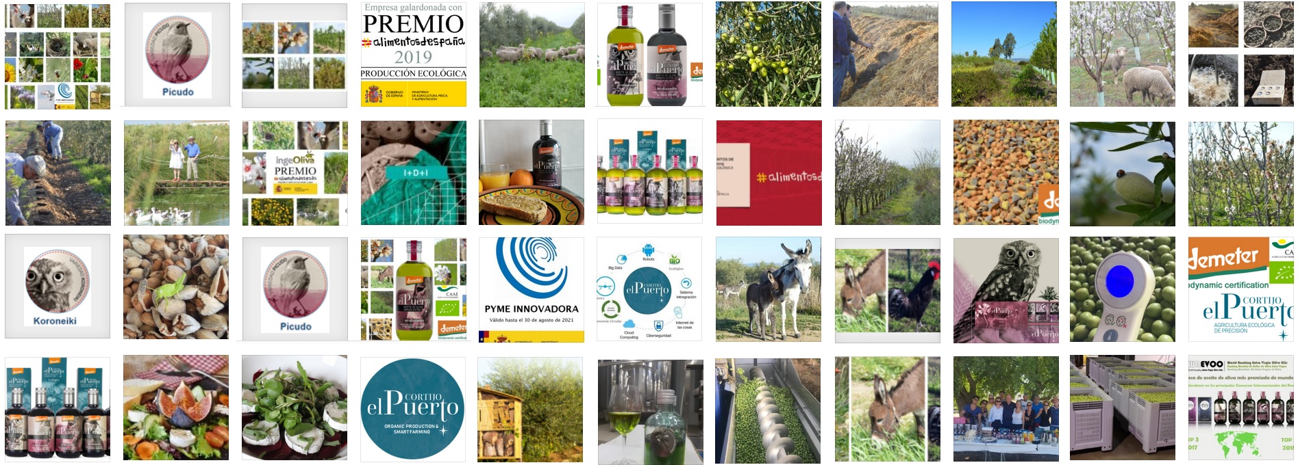 AOVE ecologico biodinamico Cortijo el Puerto Organic Farm