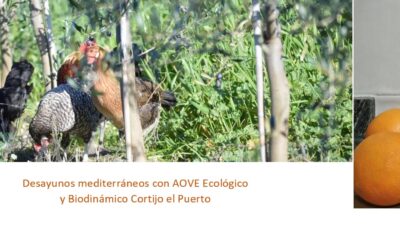 Desayuno saludable y mediterráneo con Aceite de Oliva Virgen Extra Ecológico y Biodinámico: recetas Cortijo el Puerto