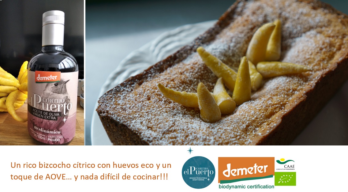 AOVE ecologico biodinamico Cortijo el Puerto Picudo Organic Farm citric cake organic breakfast