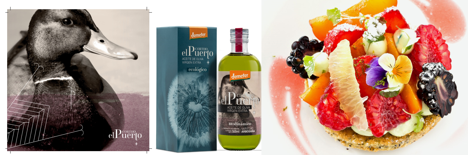 Arbosana comprar aceite de oliva ecologico biodinámico cortijo el Puerto AOVE 3