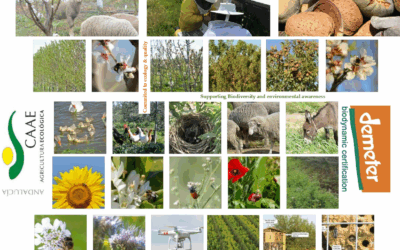 Healing the Earth and Supporting Biodiversity: Cortijo el Puerto Biodynamic Farm Project