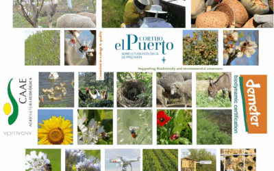 Regenerando suelos y ecosistemas: Ecología y Biodinámica en Cortijo el Puerto