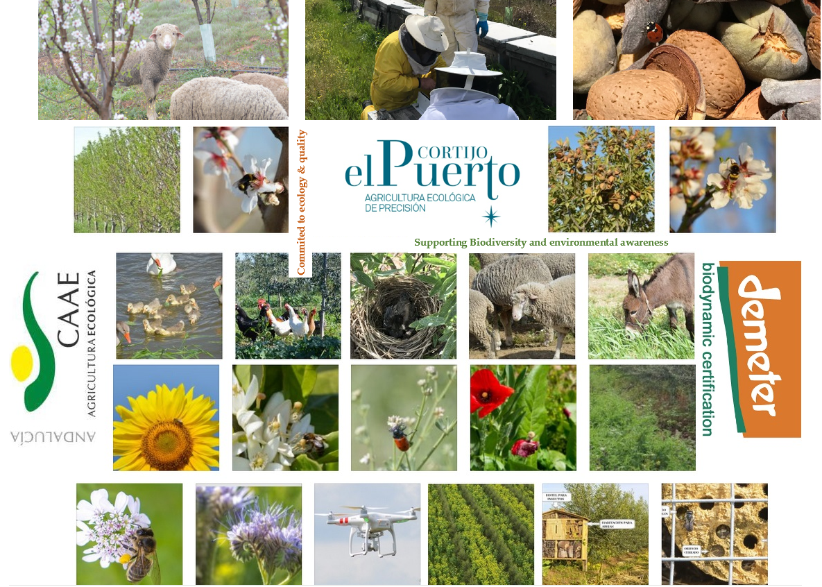 Biodynamic & organic farm cortijo el puerto spain healing the earth update