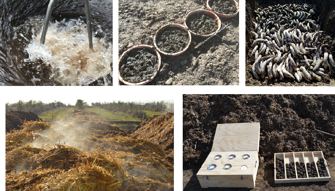 Biodynamic & organic farm cortijo el puerto spain healing the earth_preparations