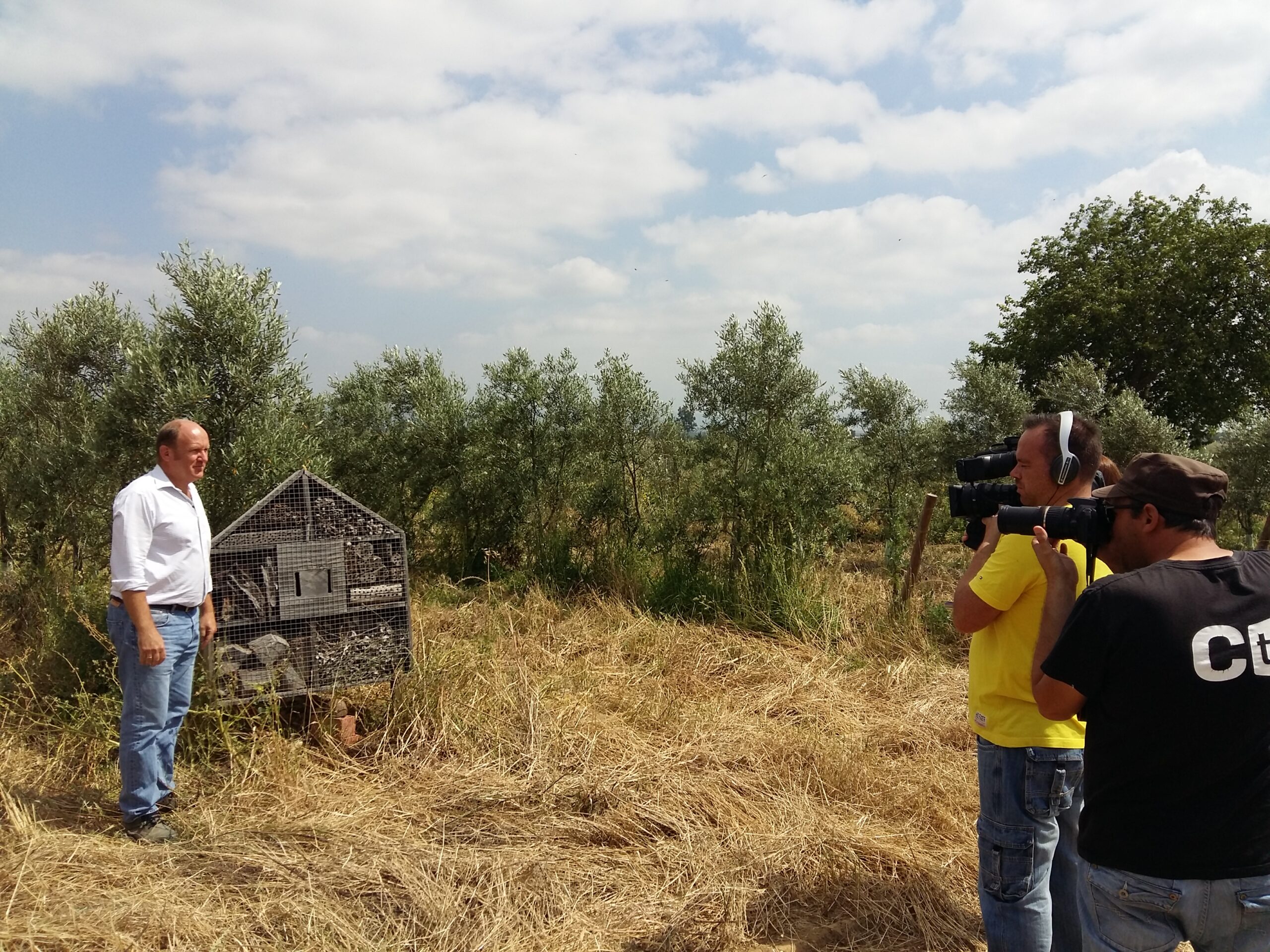 Campechanos Canal Sur 2