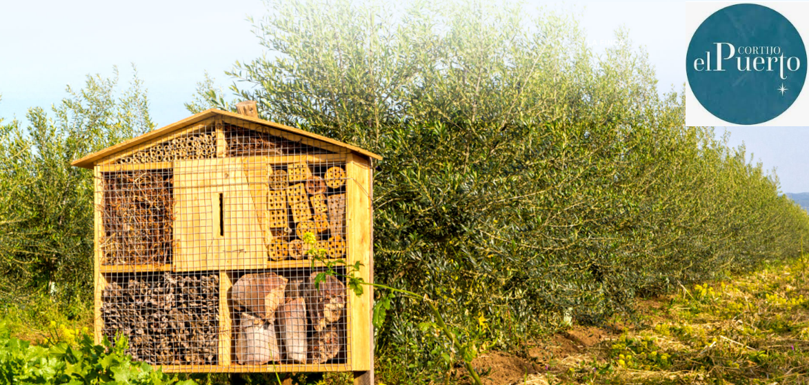 Organic and biodynamic agriculture