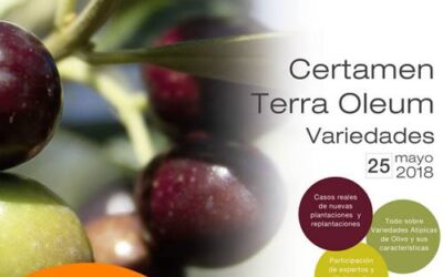 Jornada sobre variedades atípicas de olivo en Terra Oleum