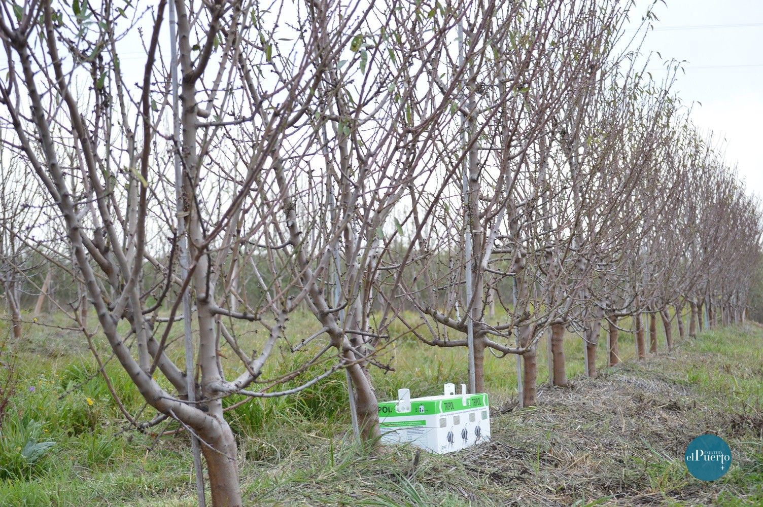 Cortijo el Puerto Colmenas