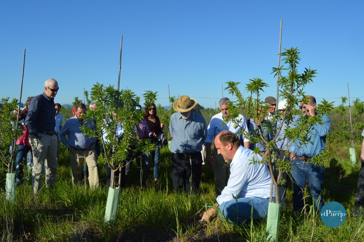 Cortijo el Puerto Cubiertas 8