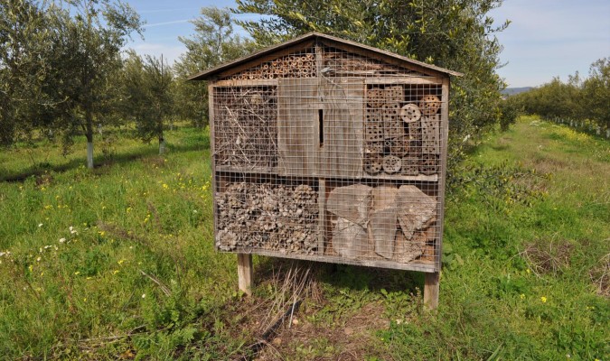 Cortijo el Puerto Hoteles para Insectos