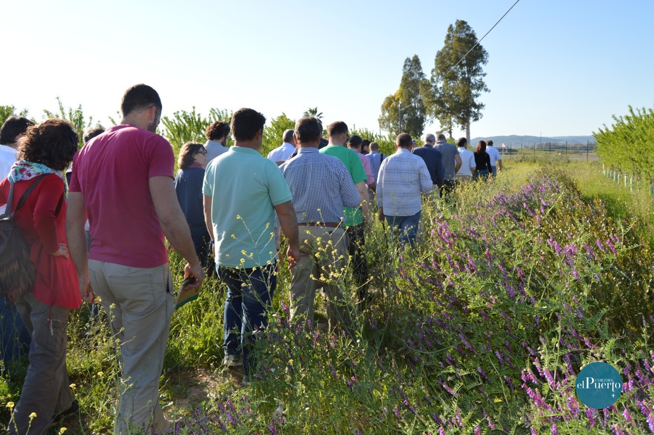 Cortijo el Puerto Labanda