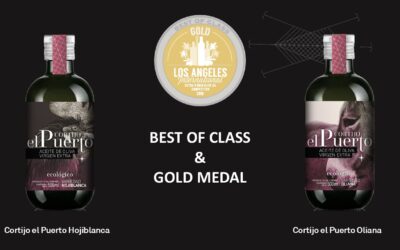 Success in Los Angeles at the International Extra Virgin Olive Oil Competition