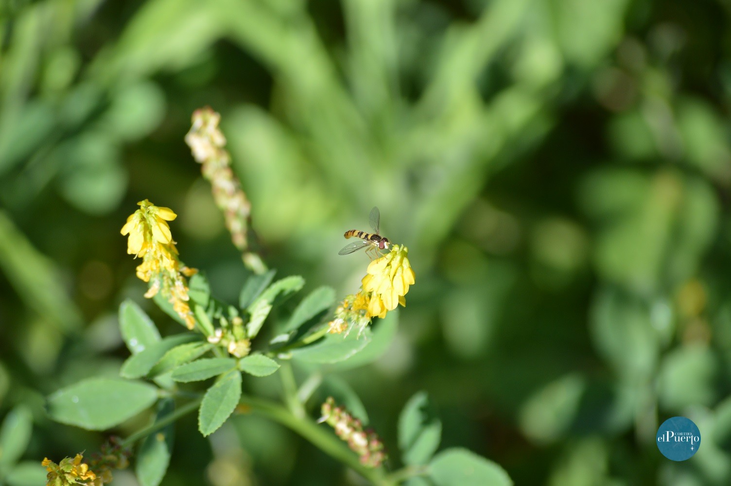 Cortijo el Puerto Medio Ambiente 1