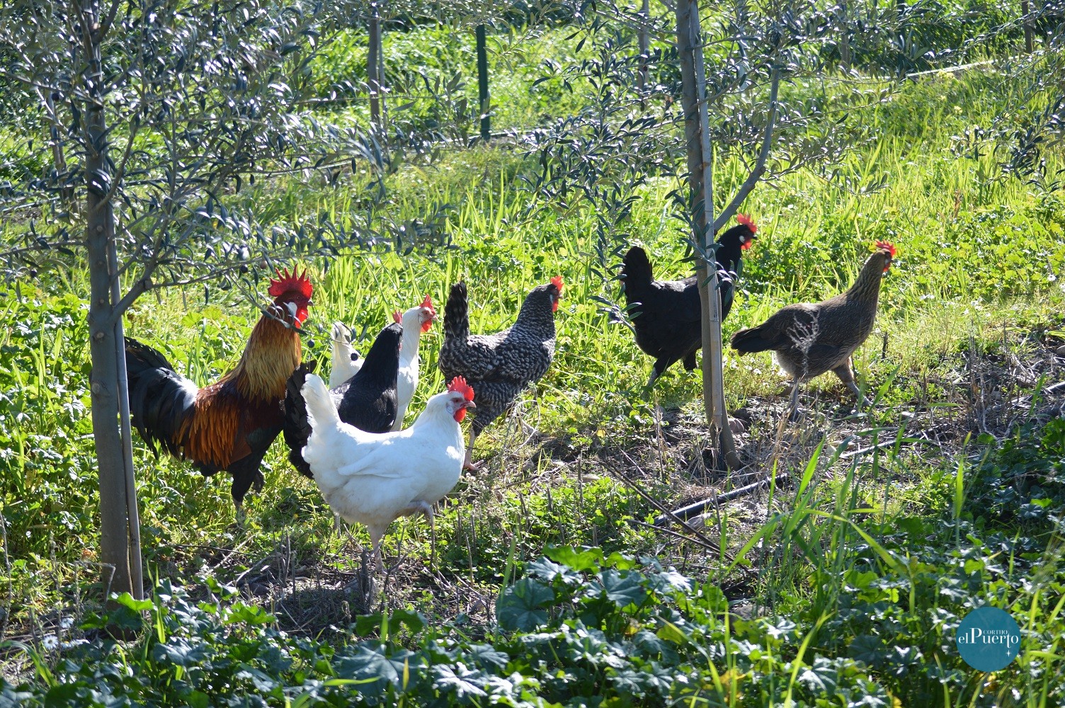 Cortijo el Puerto Medio Ambiente 4