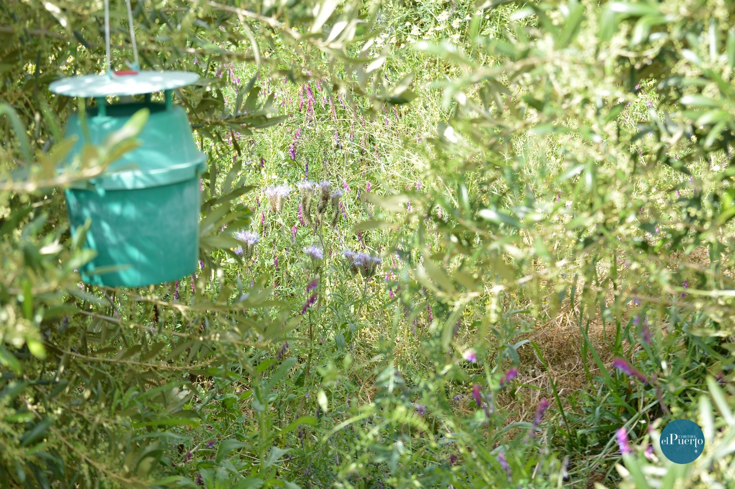 Cortijo el Puerto Medio Ambiente 8