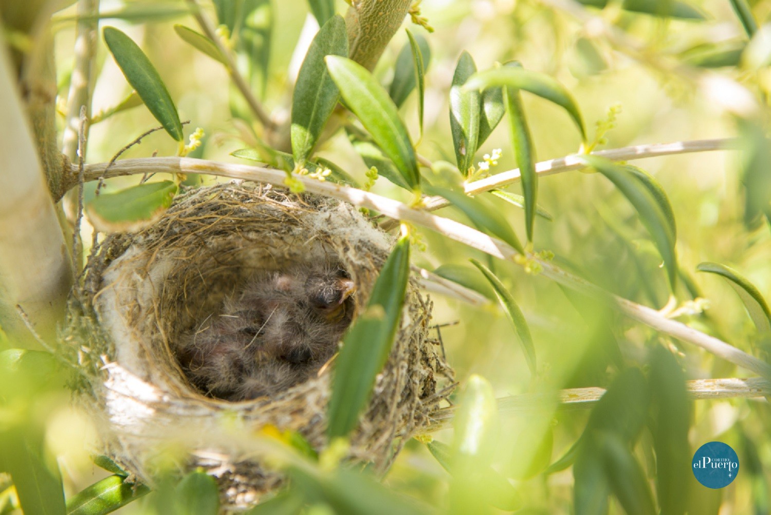 Cortijo el Puerto Medio Amiente 12jpg