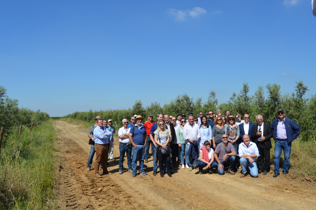 Cortijo el Puerto Visita