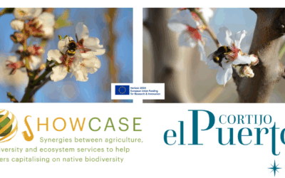 A commitment to ecology based on biodiversity: Cortijo el Puerto collaborator in the European project Showcase