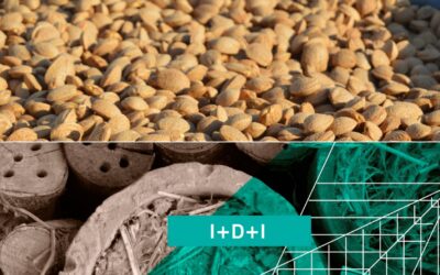 Cortijo el Puerto EnRed: Agricultura 4.0 y Ecología