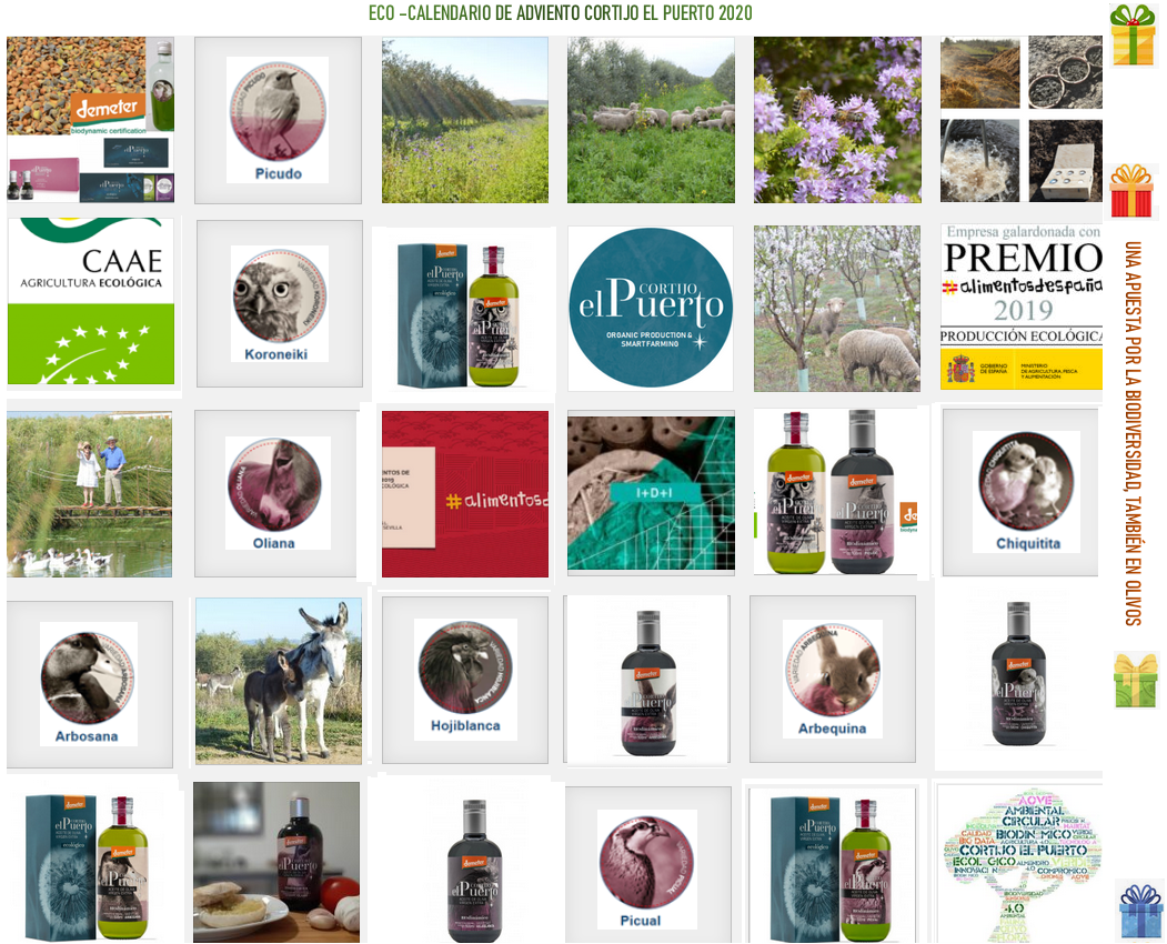 ECOLOGICO BIODINAMICO ACEITE DE OLIVA VIRGEN EXTRA CORTIJO EL PUERTO