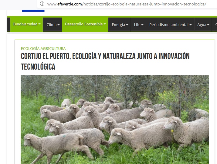 EFE Verde, La Vanguardia, el Diario Vasco…etc. resaltan la fórmula ecología + innovación de Cortijo el Puerto