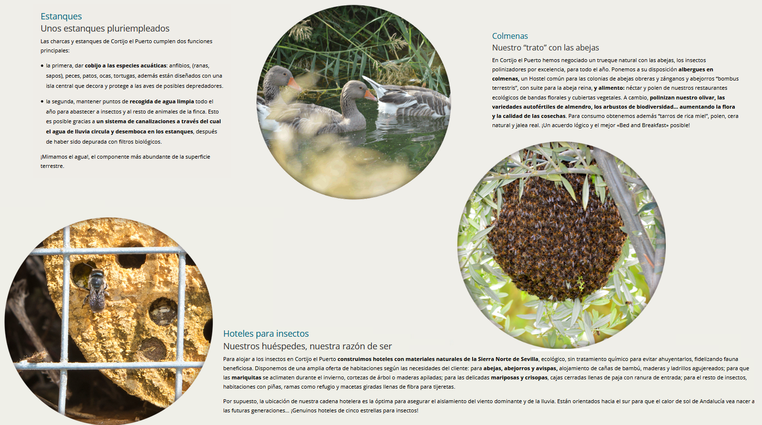ecosistema habitat flora fauna colmenas cortijo el puerto olmenas cortijo el puerto