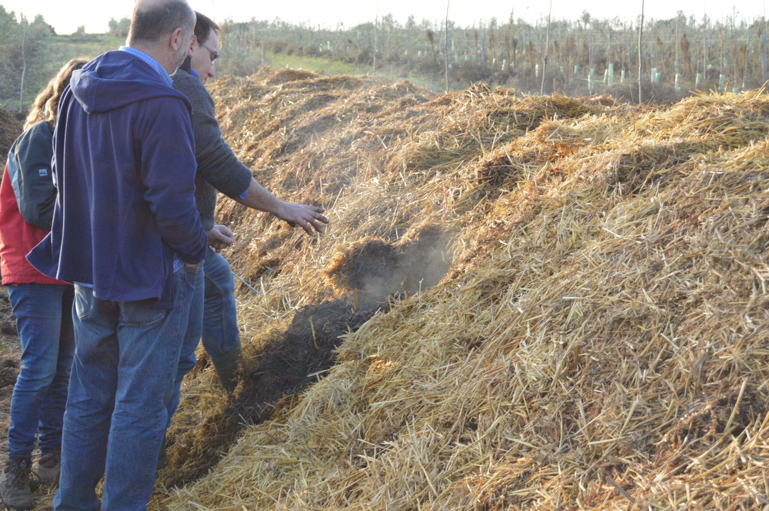 Elaboración compost biodinamico Cortijo el Puerto