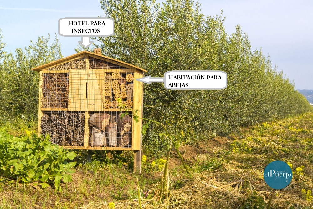 HOTELES PARA INSECTOS 1 CL OK