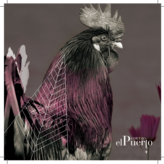 Organic biodynamic Extra virgin olive oil hojiblanca Cortijo el Puerto Mediterranean Diet Hjb AOVE ecologico biodinamico cortijo el puerto