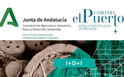 Cortijo el Puerto colabora con el IFAPA en la selección de nuevas variedades de olivo   