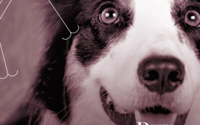 Royeta de Asque, the  fabulous mix of tradition and innovation: come and know this Aragonese Olive tree variety at Cortijo el Puerto