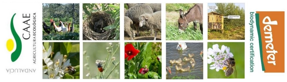 biodynamisch cortijo el puerto vielfalt nachhaltigkeit_banner