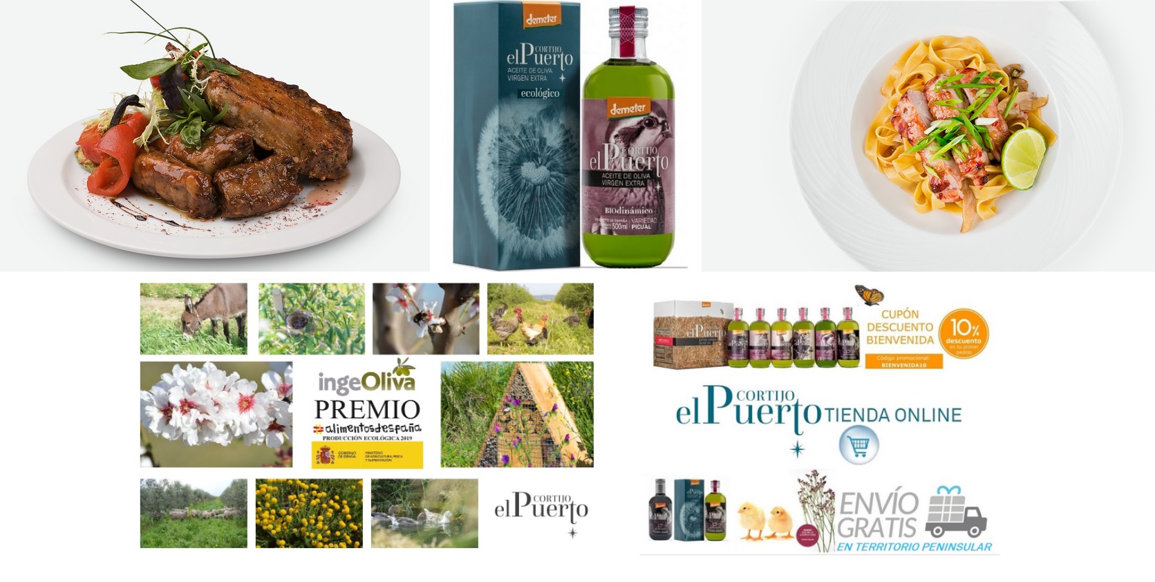 comprar picual aceite de oliva ecologico biodinamico cortijo el puerto picual aceite de oliva ecologico biodinamico cortijo el puerto