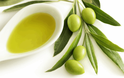 Refreshing, healthy and nutritious: summer recipes with Organic Biodynamic EVOO Cortijo el Puerto