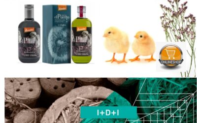 ‘Sikitita’o Chiquitita, Organic & Biodynamic EVOO by Cortijo el Puerto: a 21st century country soul