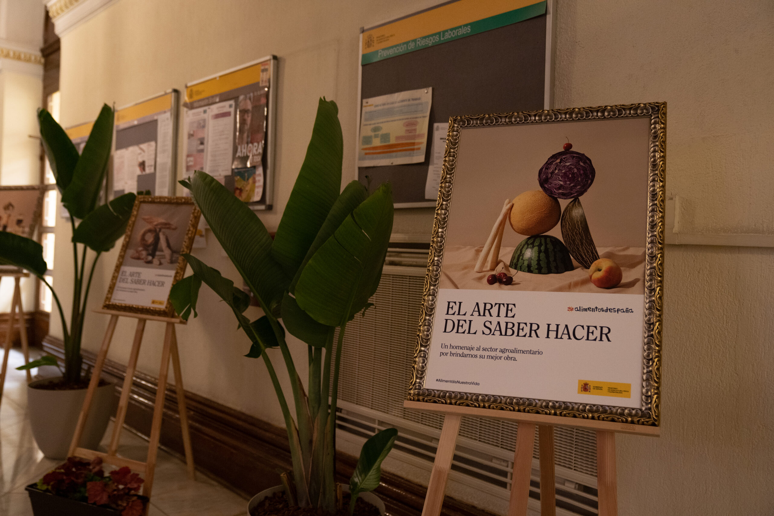 IngeOliva Cortijo el Puerto Premio alimentos de españa ecológica