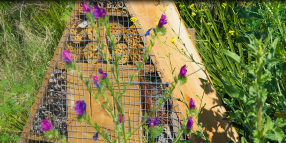 demeter biodynamische landwirtschaft öko bienen vielfalt artenschutz