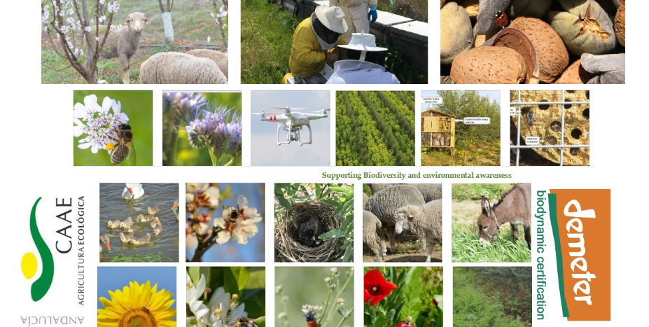demeter biodynamische landwirtschaft öko lebensmittel
