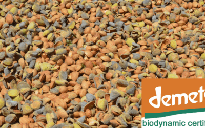 Organic & Demeter Biodynamic Almonds: Cortijo el Puerto new harvest 2021