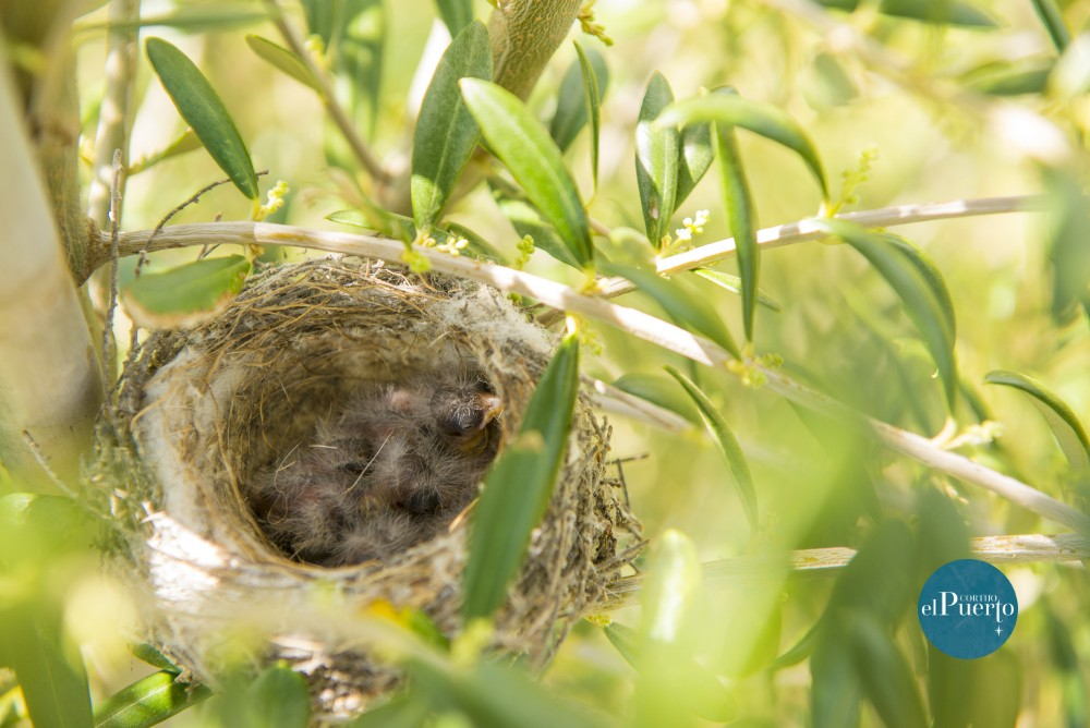 life and biodiversity cortijo el puerto
