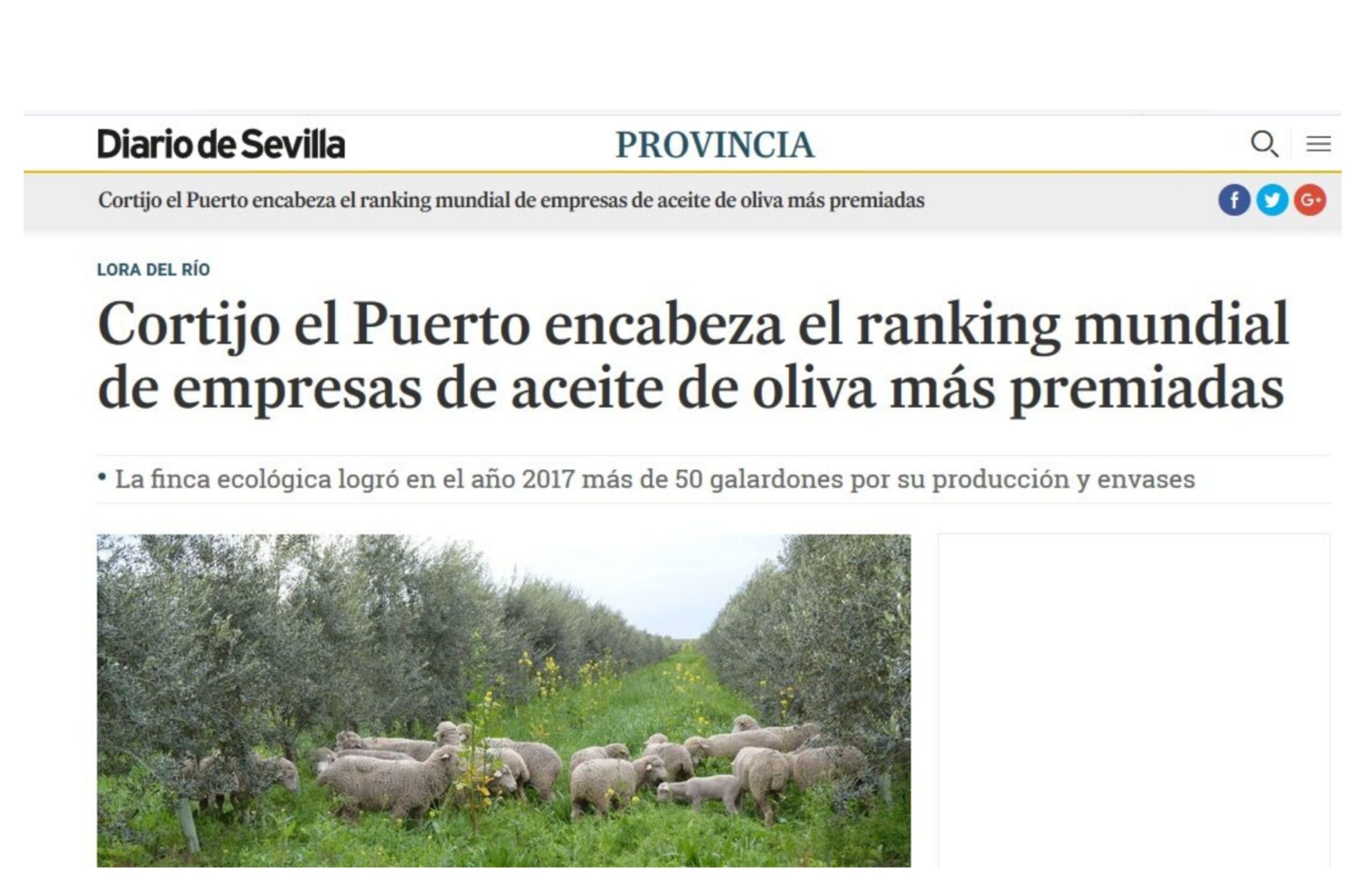 Recorte de prensa sobre Cortijo el Puerto, primer puesto en el EVOO World Ranking 2017, demostrando que la lucha biológica natural y la biodiversidad permiten producir un aceite de oliva virgen extra de máxima calidad.