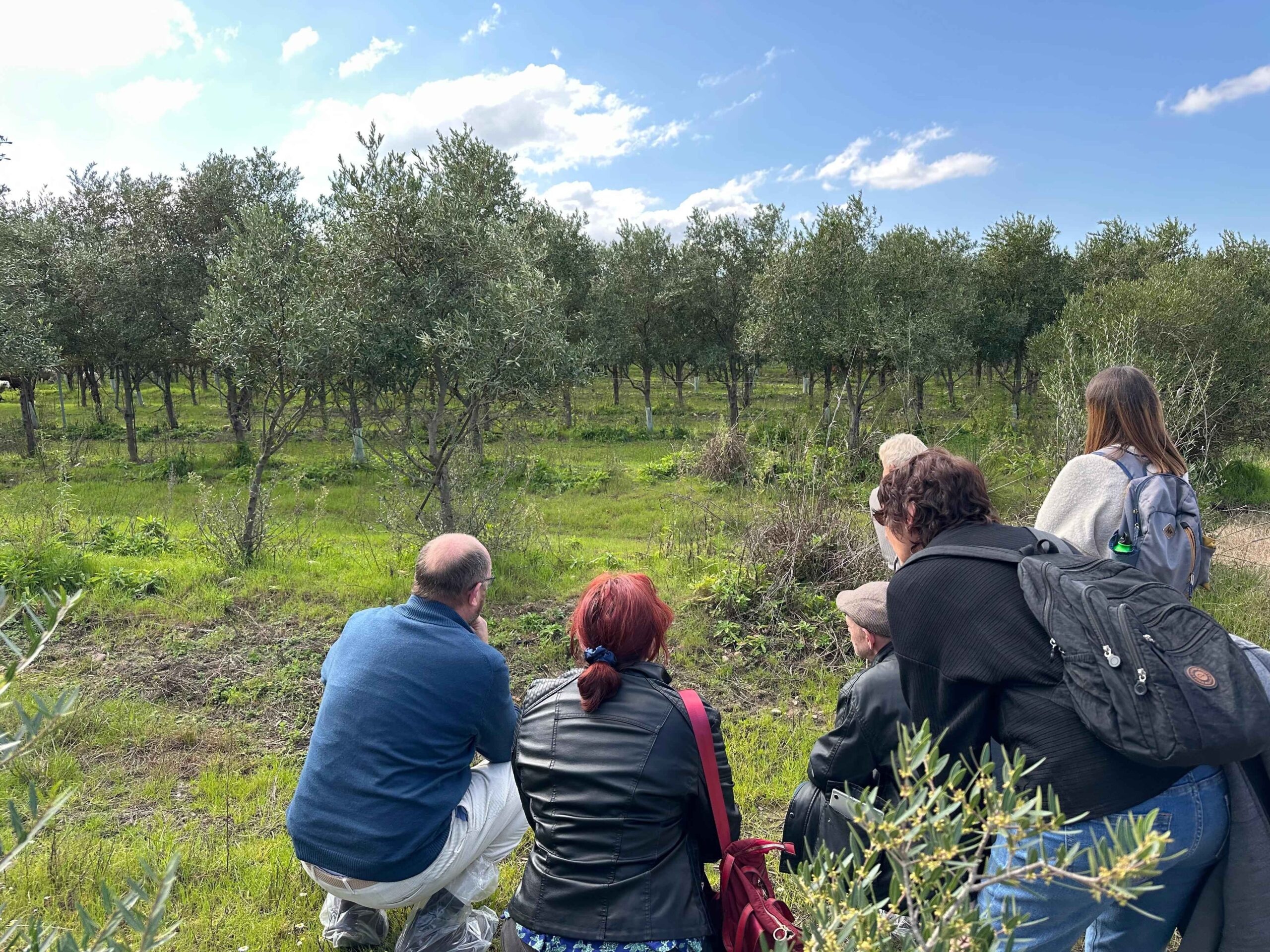 Grupo de técnicos observando la cubierta vegetal y la biodiversidad del olivar durante una visita técnica a Cortijo el Puerto para conocer la lucha biológica natural.